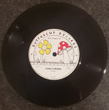 Coda Chroma - Circles 7" Vinyl